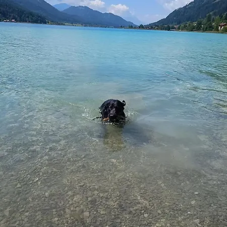Family Weissensee Prázdninový dům *