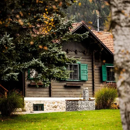Family Weissensee Tatil Evi *