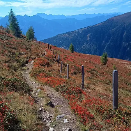 Family Weissensee Tatil Evi *