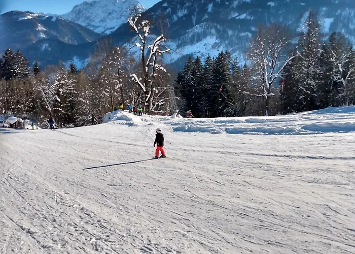 Family Weissensee Tatil Evi